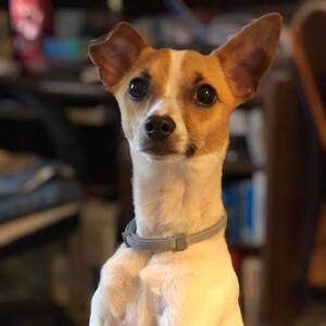 Fundraising Page: Laura Burton